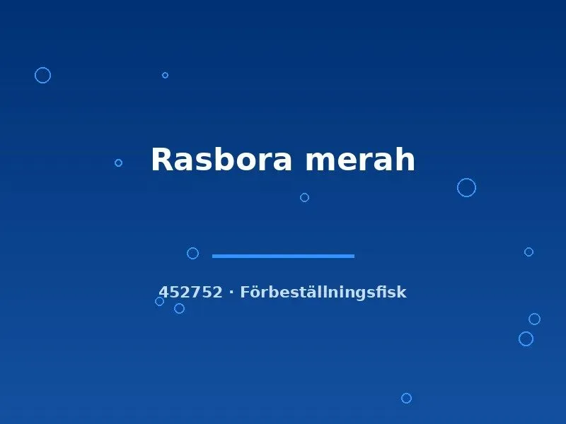 Näsets Ciklidhobby Rasbora merah stimfisk md-lg