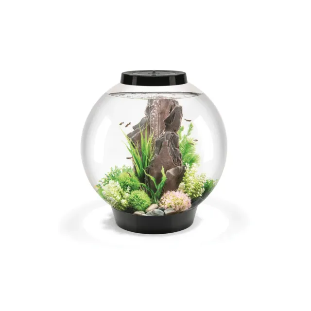 biOrb Classic 60 MCR akvarium 60 liter svart