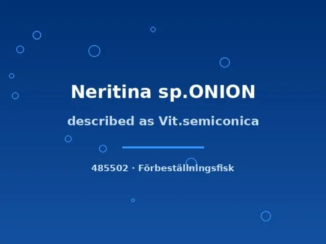 Näsets Ciklidhobby Neritina Onion akvariesnäcka md