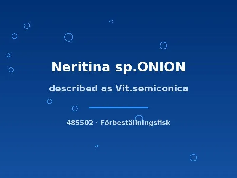 Näsets Ciklidhobby Neritina Onion akvariesnäcka md