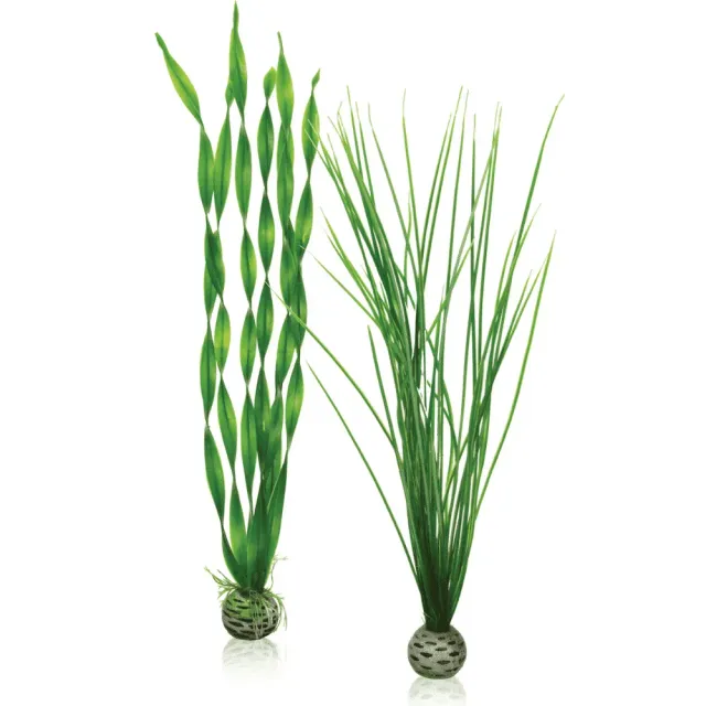 biOrb Lätt växtuppsättning L dekoration 2-pack grön