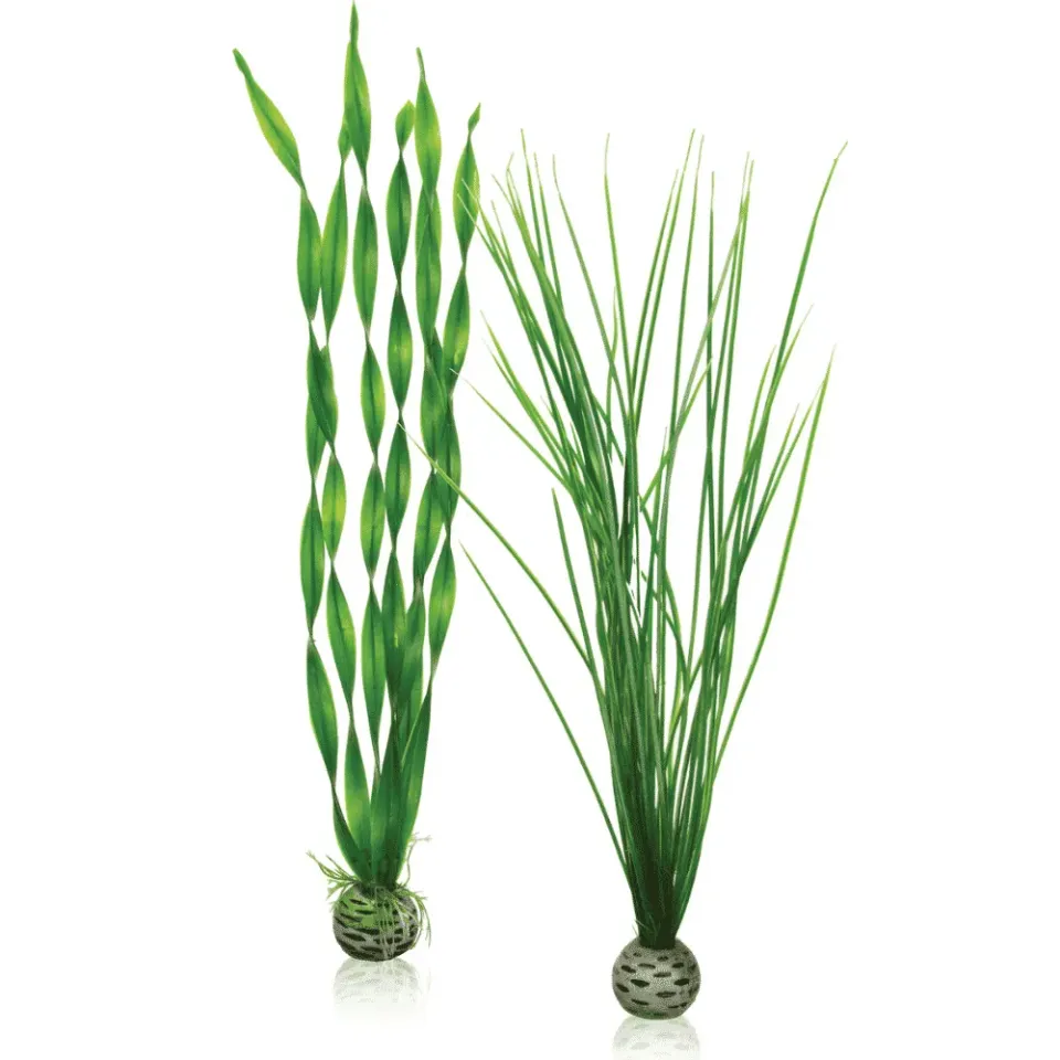 biOrb Lätt växtuppsättning L dekoration 2-pack grön