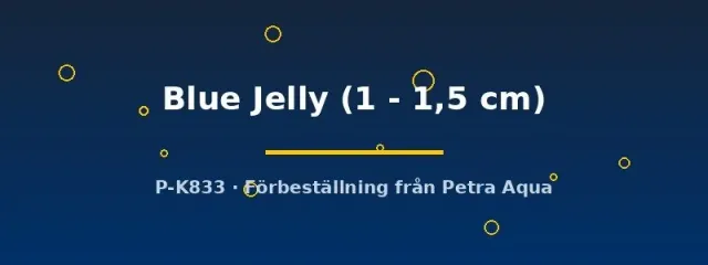 Näsets Ciklidhobby Neocaridina Blue Jelly räka 1–1,5 cm