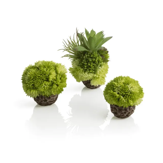 biOrb Coral Ball Set akvariedekoration grön sjunkande