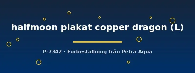 Näsets Ciklidhobby Betta halfmoon plakat copper dragon hane L