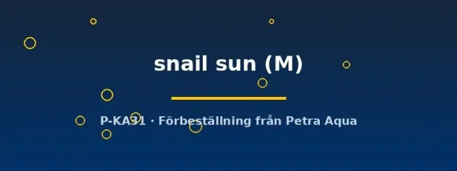 Näsets Ciklidhobby Neritina snail sun snäcka M algätare