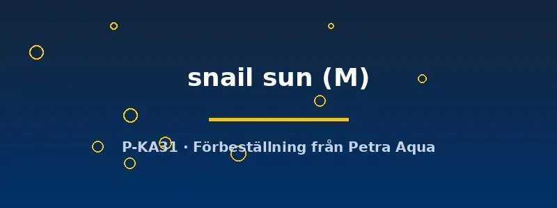 Näsets Ciklidhobby Neritina snail sun snäcka M algätare