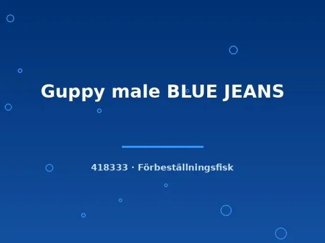 Näsets Ciklidhobby Blue Jeans guppyhane lg