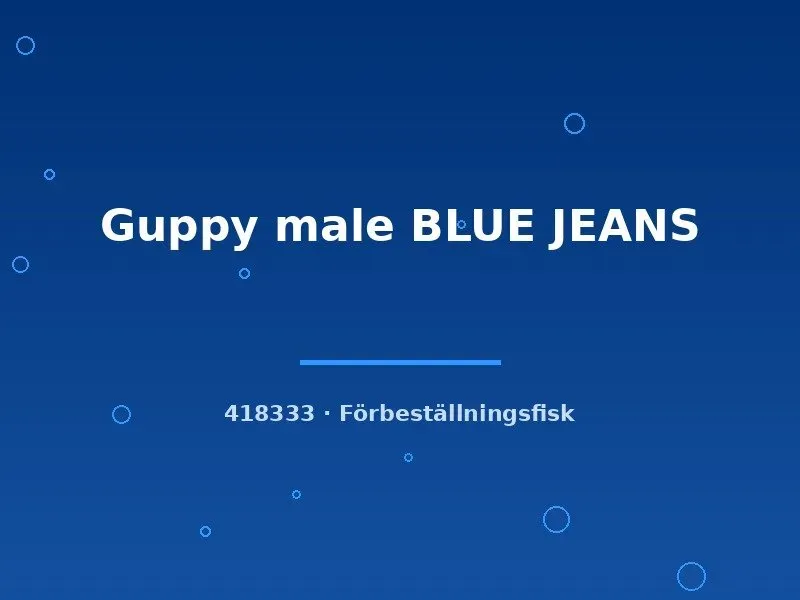 Näsets Ciklidhobby Blue Jeans guppyhane lg