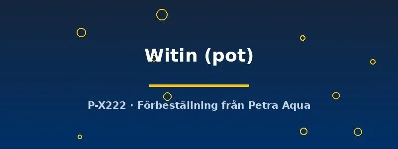 Echinodorus Witin Witin akvarieväxt pot