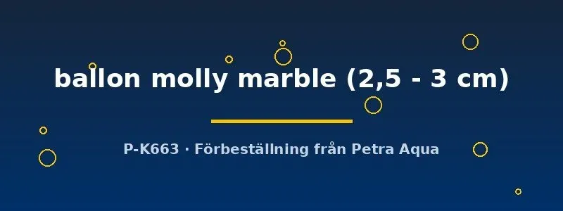 Näsets Ciklidhobby Ballon Molly Marble akvariefisk 2,5–3 cm