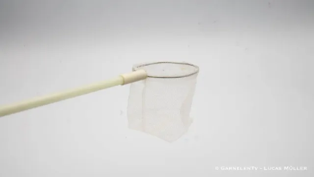 Garnelen TV Proffs räkhåv fiberglas 35 cm fint nät
