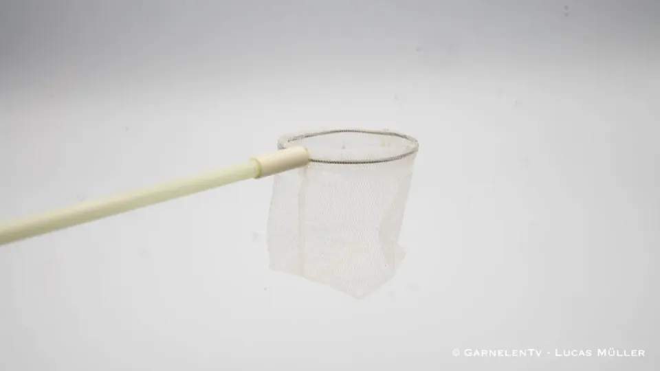Garnelen TV Proffs räkhåv fiberglas 35 cm fint nät