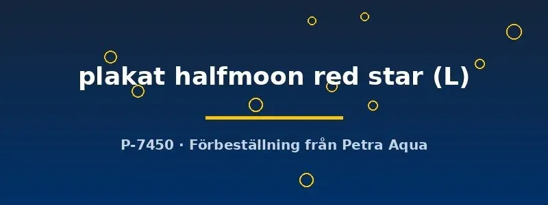 Betta spl. Plakat Halfmoon Red Star kampfisk hane L