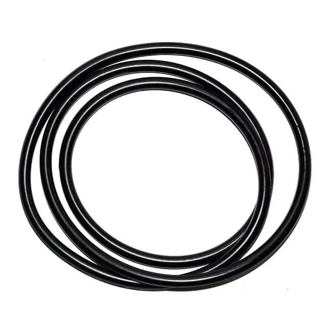 Näsets Ciklidhobby O-ring behållare XL Pondlink 2018 packning