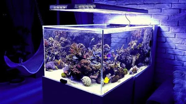 Pacific Sun Pandora Hyperion S LED + T5 hybrid