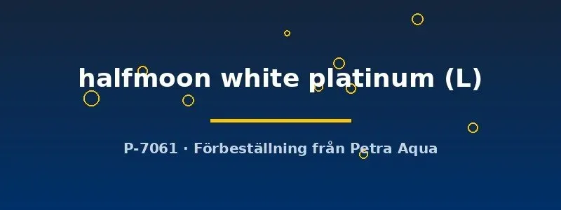 Näsets Ciklidhobby Betta halfmoon kampfisk hane L white