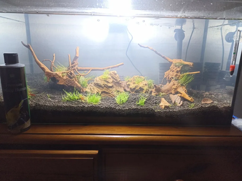 JBL ProHaru Rapid akvarielim 20 g transparent