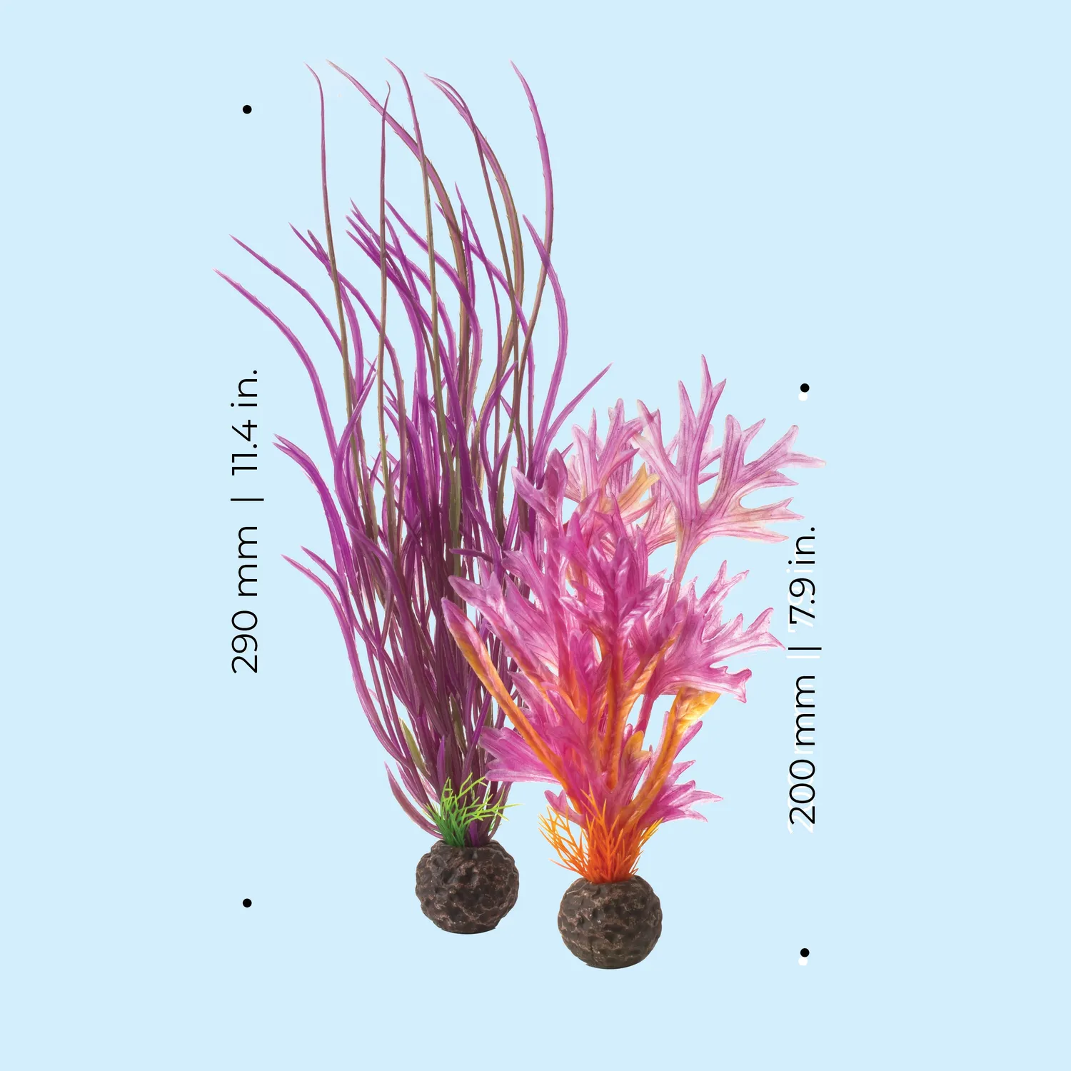 biOrb Medium Red Pink växtset 2-pack 29 cm