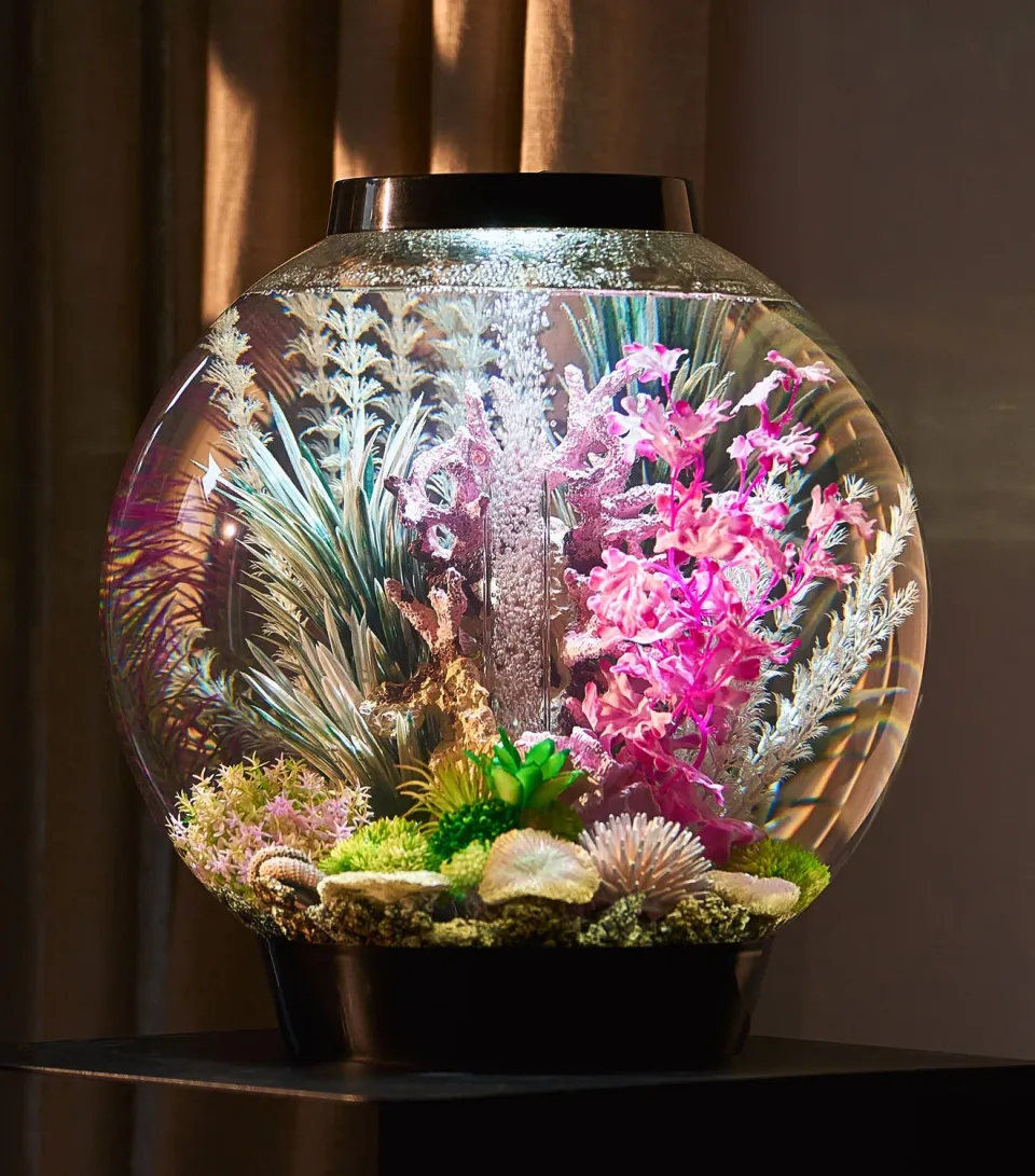 biOrb Rose Lit Reef akvariepaket med belysning