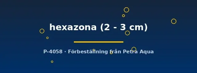 Puntius hexazona sexbandad barb 2–3 cm stimfisk