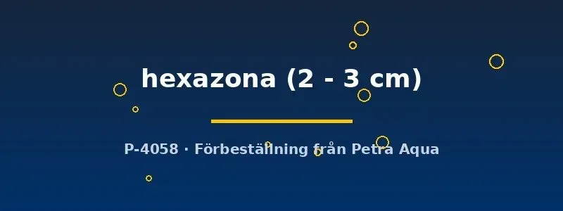 Puntius hexazona sexbandad barb 2–3 cm stimfisk