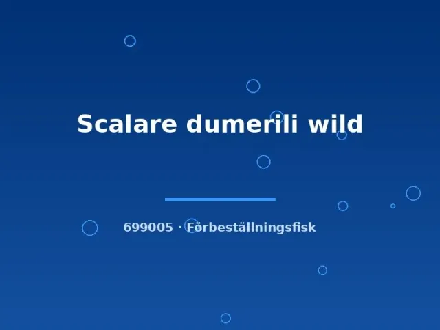 Näsets Scalare dumerili wild skalar lg–xlg vild