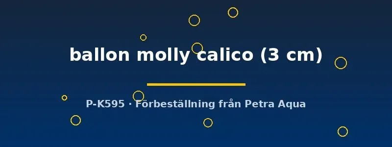 Näsets Ciklidhobby Poecilia latipinna ballon molly calico 3cm