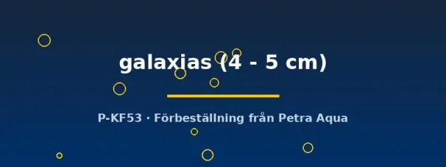 Näsets Ciklidhobby L240 Galaxias mal 4–5 cm sugmal