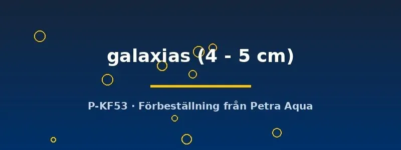 Näsets Ciklidhobby L240 Galaxias mal 4–5 cm sugmal
