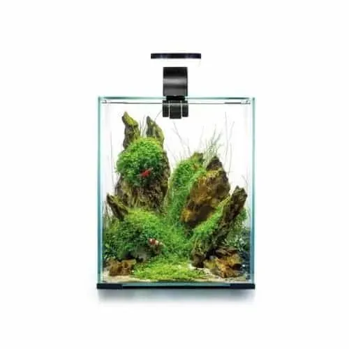 Näsets Ciklidhobby Shrimp Set Day&Night 19L akvarium svart