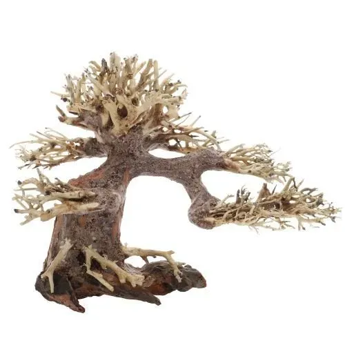 Näsets Ciklidhobby Bonsai Brun akvariedekoration 20x10x15 cm