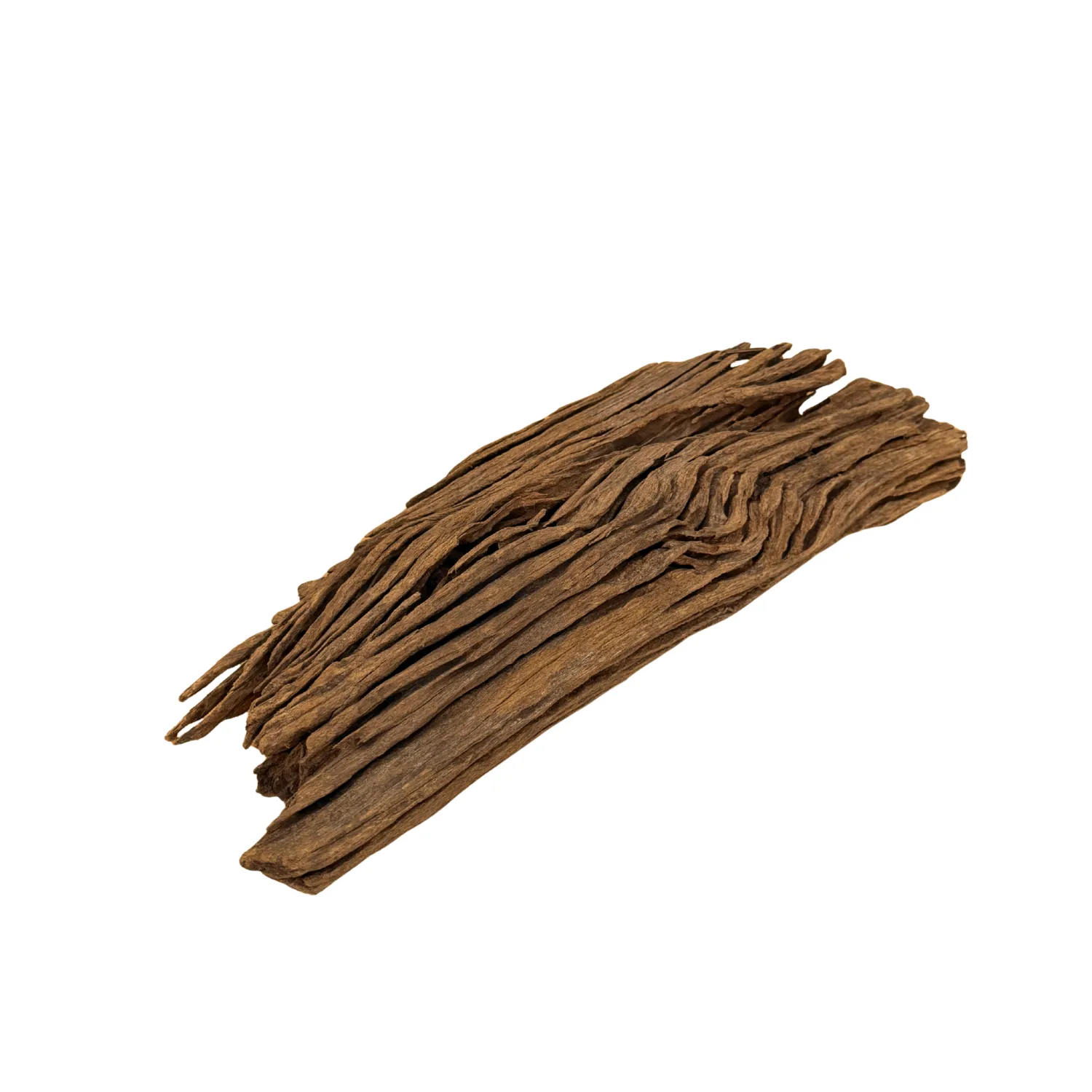 Marlenes Zookällare Mangroverot akvarierot Large 30–50 cm