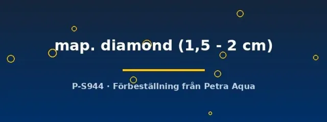 Näsets Ciklidhobby Pterophyllum scalare diamond scalar 1,5–2 cm marmor