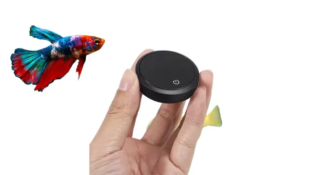 Garnelen TV digital akvarietermometer med givare