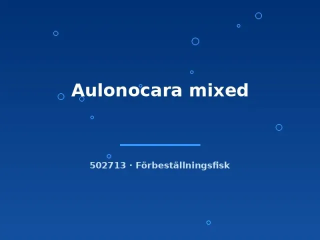 Näsets Ciklidhobby Aulonocara mixed malawiciklid 6–8 cm