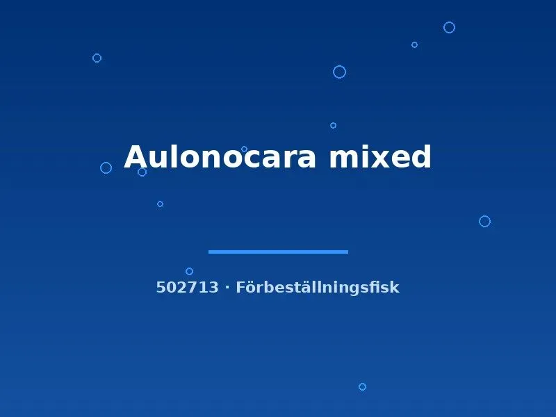 Näsets Ciklidhobby Aulonocara mixed malawiciklid 6–8 cm