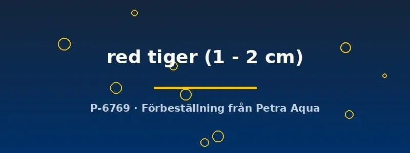 Näsets Endler red tiger guppyfisk 1–2 cm pigg