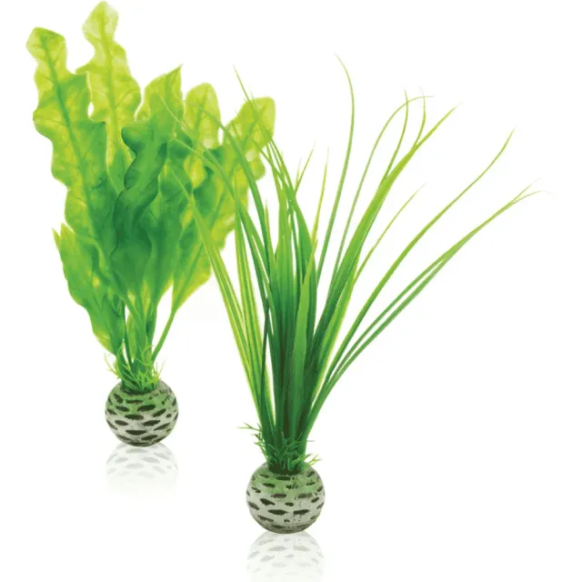 biOrb Easy plant set S plastväxter grön