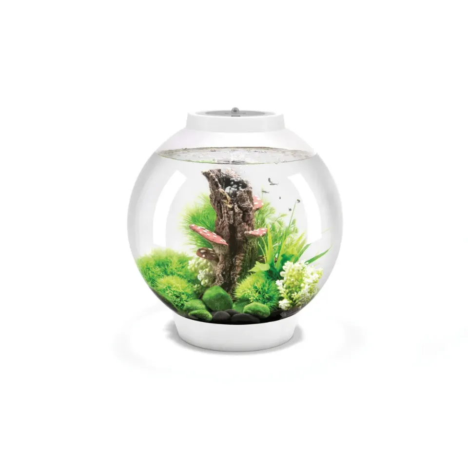 biOrb Classic 30 akvarium 30 l vit akryl