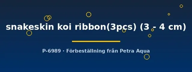 Näsets Ciklidhobby Poecilia snakeskin koi ribbon trio guppy