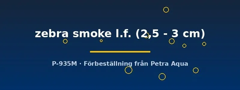 Näsets Ciklidhobby Pterophyllum scalare zebra smoke l.f. skalar 2,5–3 cm