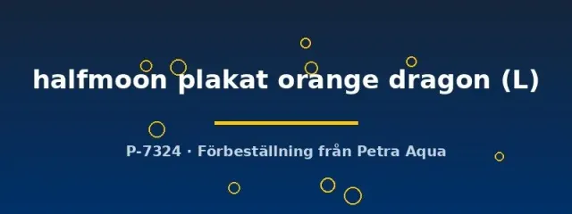 Näsets Betta spl. halfmoon plakat kampfisk L orange