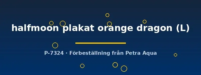Näsets Betta spl. halfmoon plakat kampfisk L orange