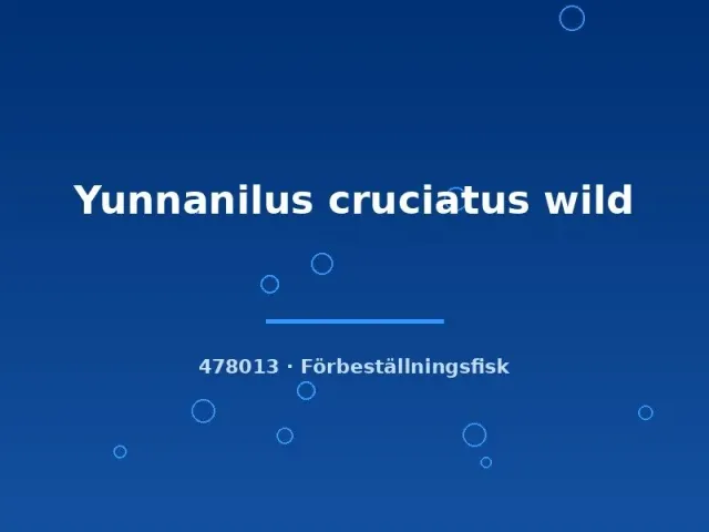 Näsets Ciklidhobby Yunnanilus cruciatus grönling 2 cm