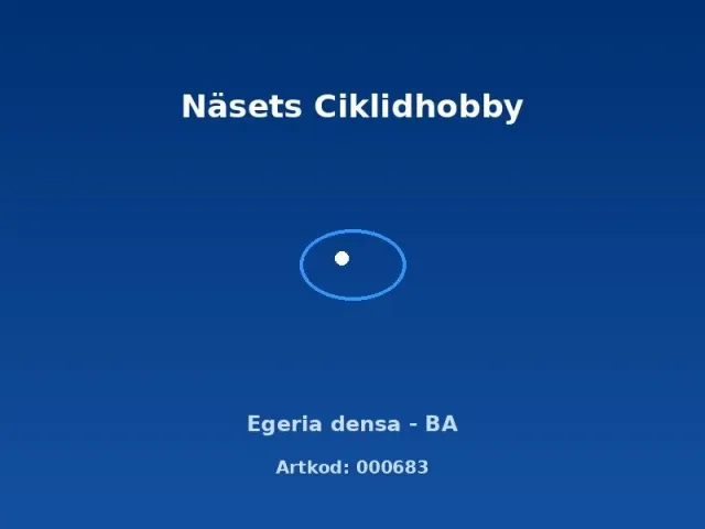 Näsets Ciklidhobby Egeria densa BA akvarieväxt snabbväxande