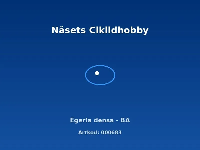Näsets Ciklidhobby Egeria densa BA akvarieväxt snabbväxande
