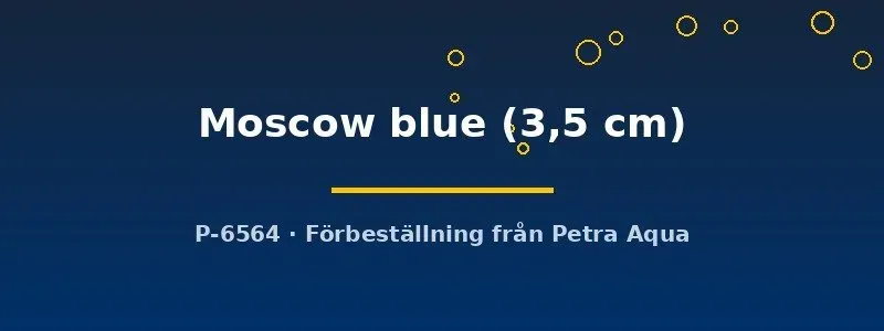 Näsets Ciklidhobby Poecilia ret. guppy Moscow blue par 3,5 cm