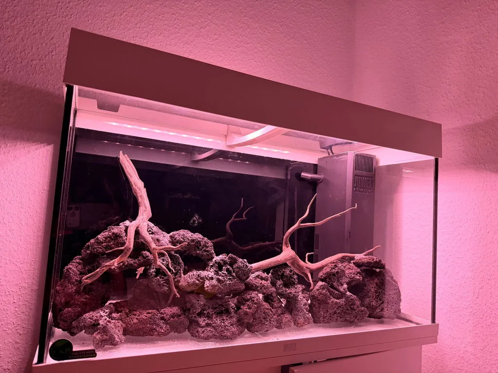 GarnelenTv Premium Hardscape Vadd limvadd 10 g