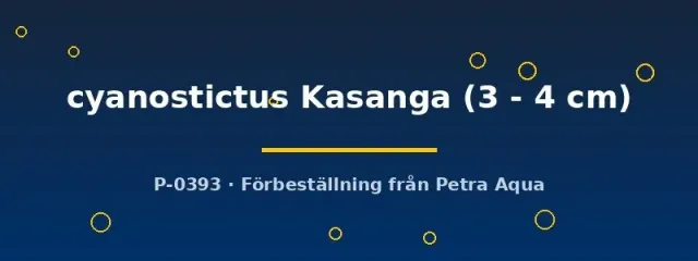 Eretmodus cyanostictus Kasanga ciklid 3–4 cm Tanganyika